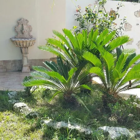 Borgo Panoramico N.1